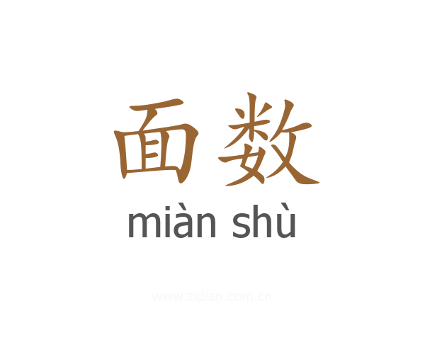 面数