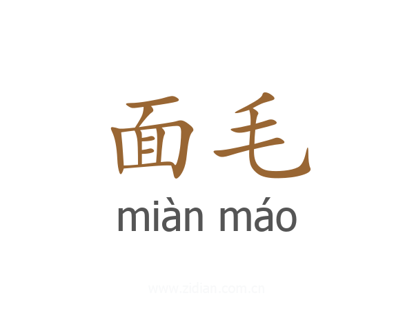 面毛