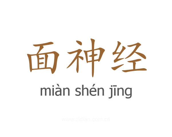 面神经
