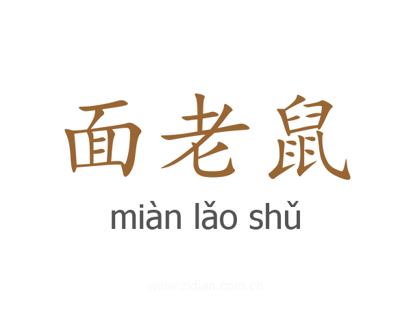 面老鼠
