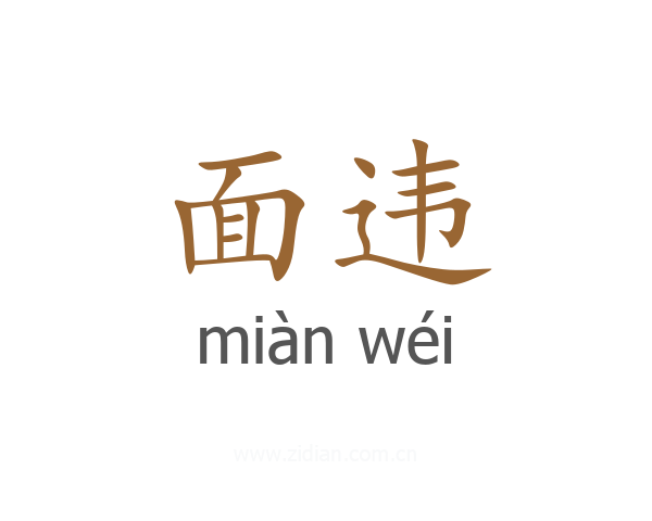 面违