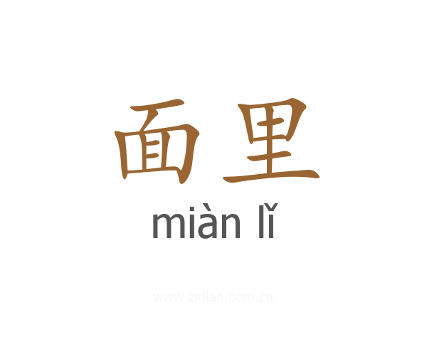 面里