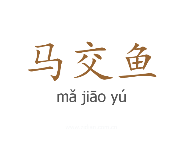 马交鱼