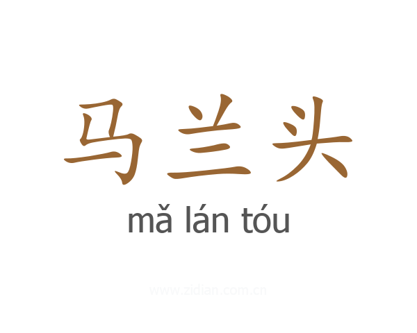 马兰头