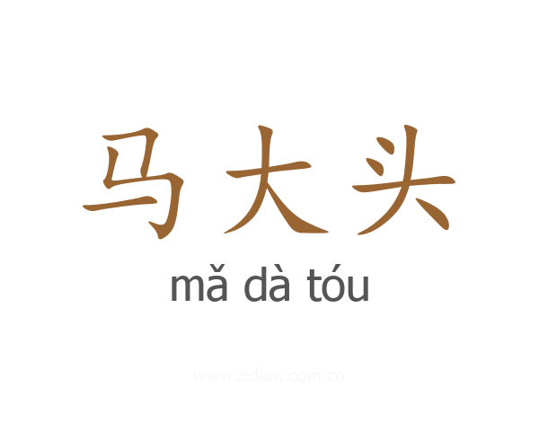 马大头