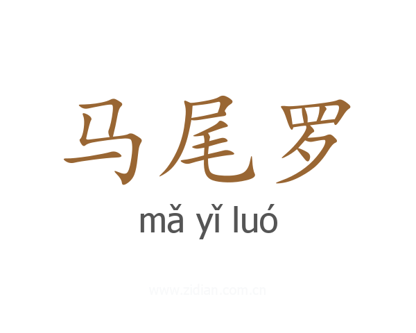 马尾罗