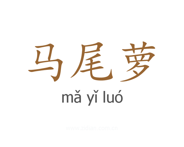 马尾萝