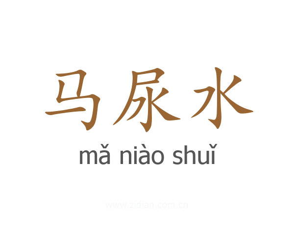 马尿水