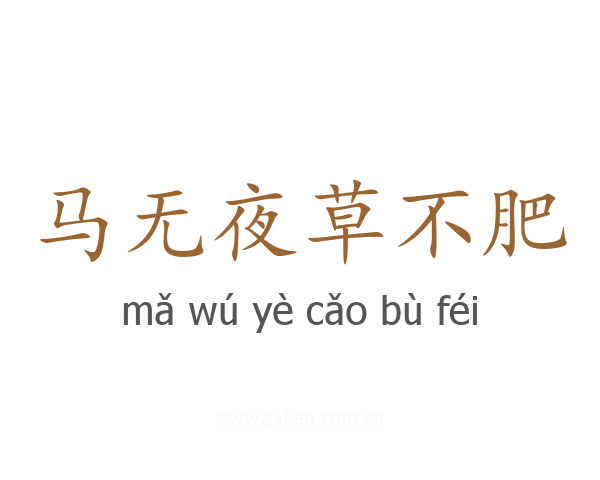 马无夜草不肥