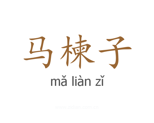 马楝子