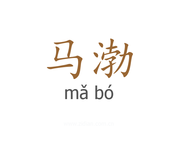 马渤