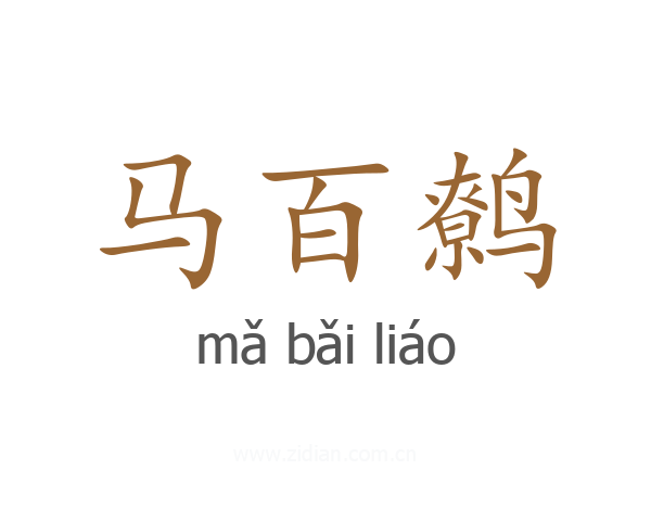 马百鹩