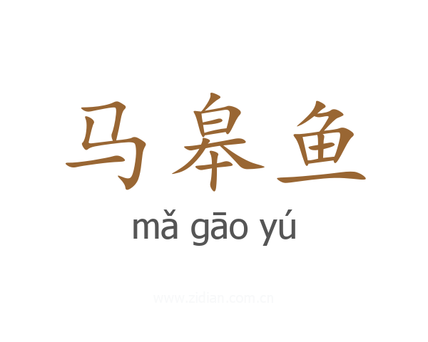 马皋鱼