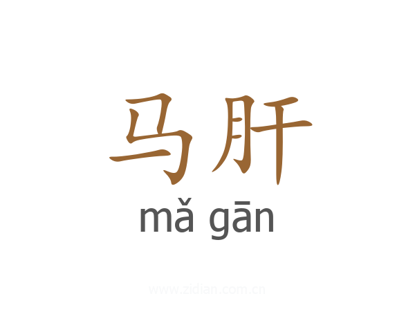 马肝