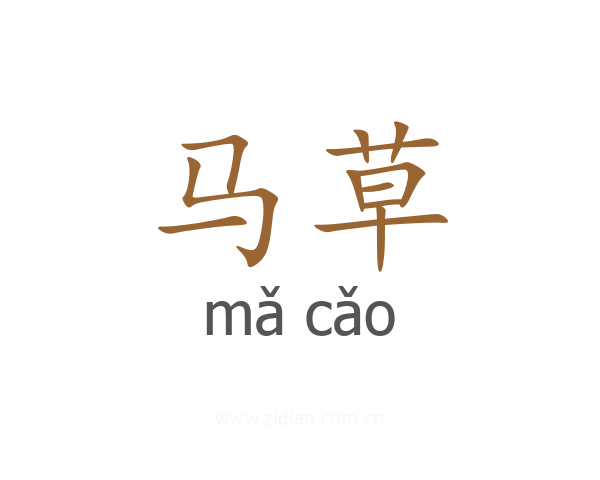 马草