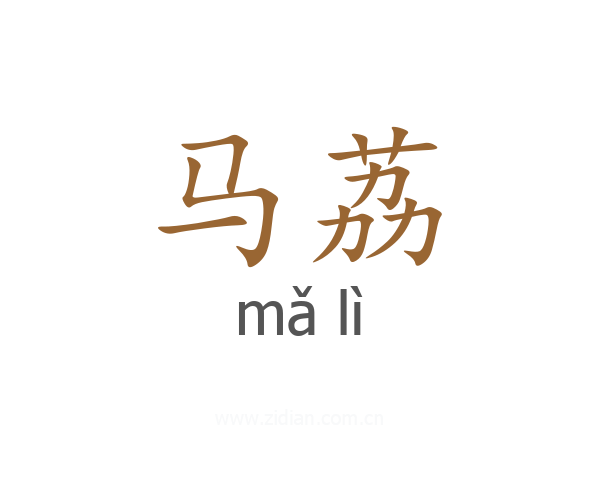 马荔
