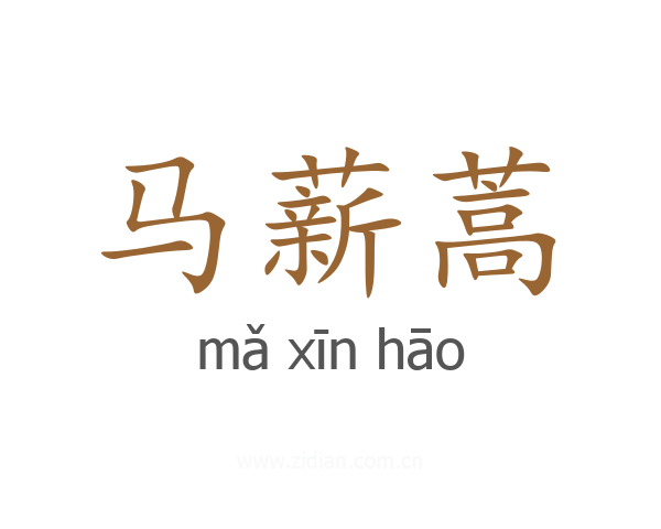 马薪蒿