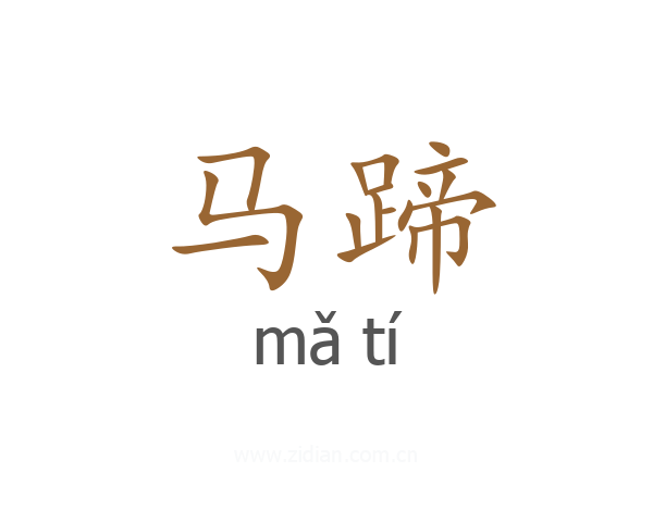 马蹄