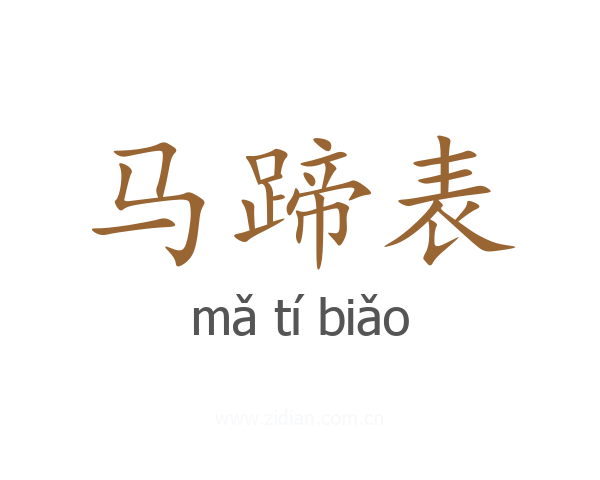 马蹄表