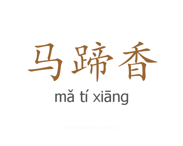 马蹄香