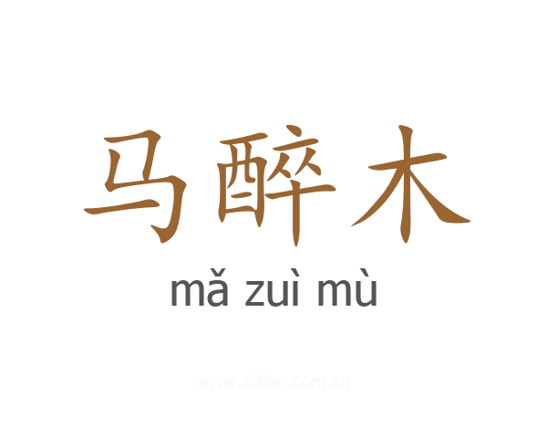 马醉木