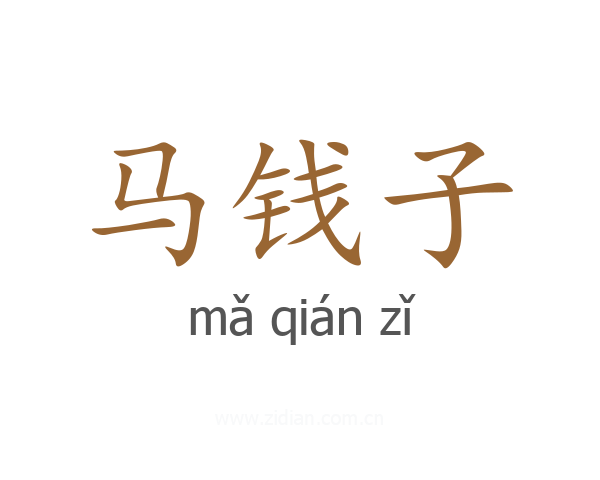 马钱子
