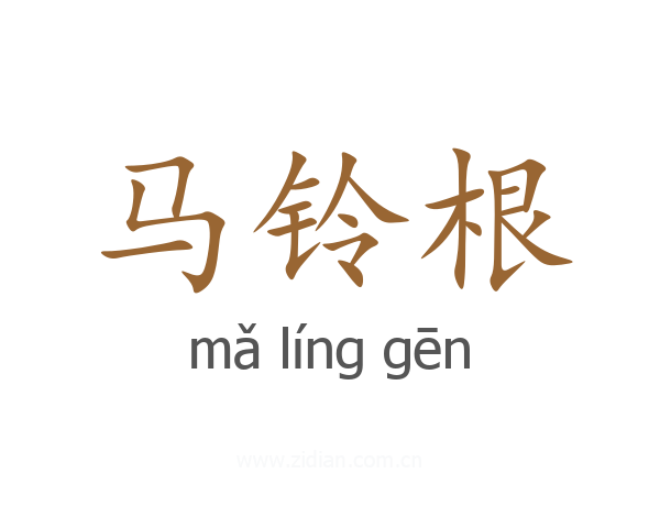 马铃根