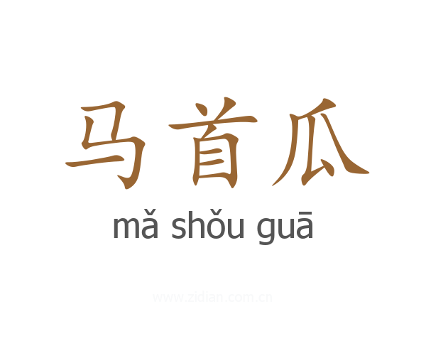 马首瓜