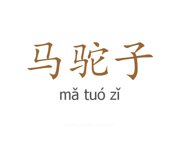 马驼子