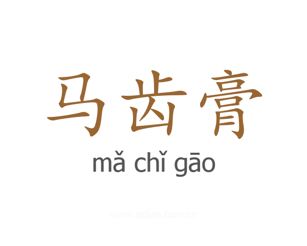 马齿膏