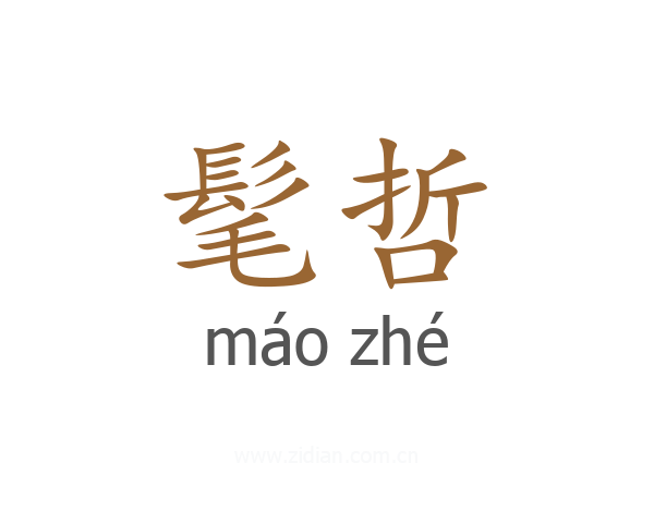 髦哲
