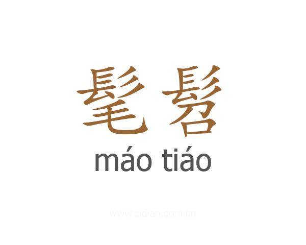 髦髫