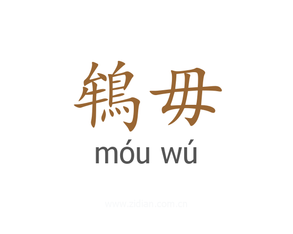 鴾毋