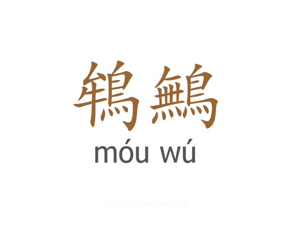 鴾鷡