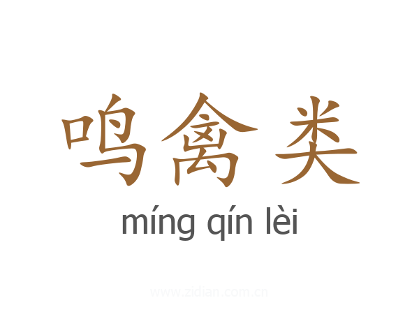 鸣禽类