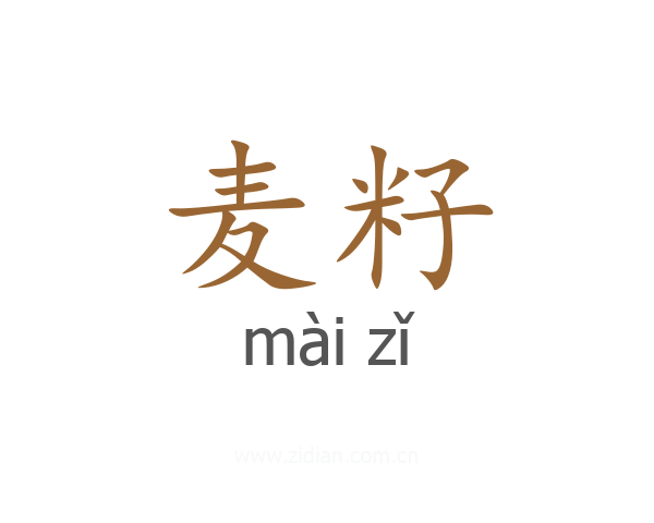 麦籽