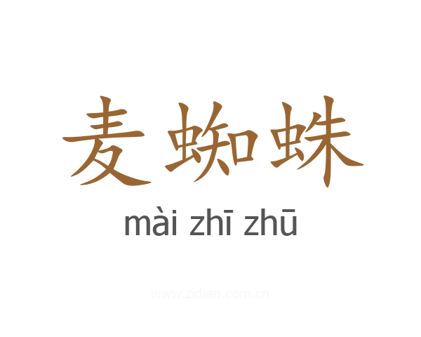 麦蜘蛛