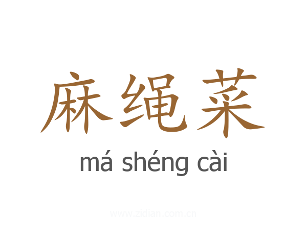 麻绳菜