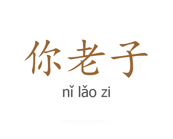 你老子