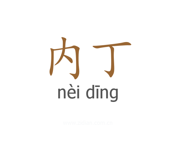 内丁
