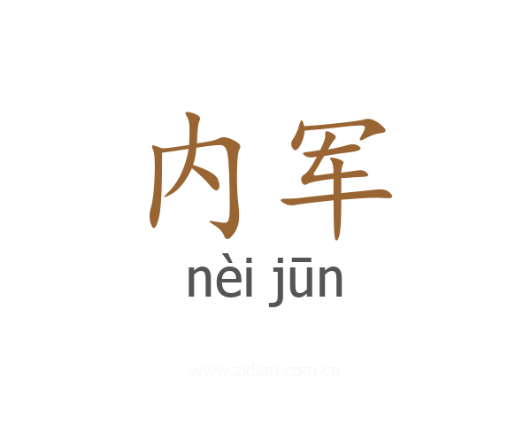 内军