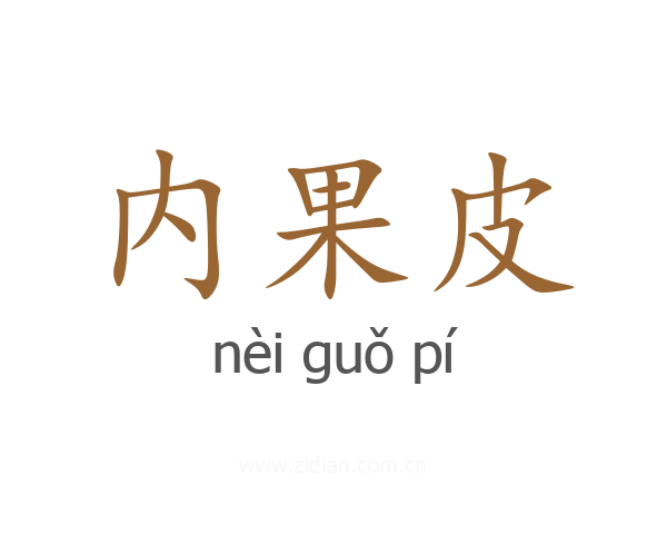 内果皮
