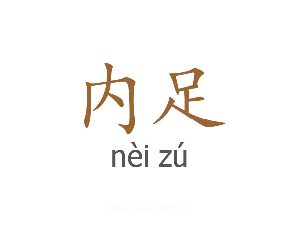 内足