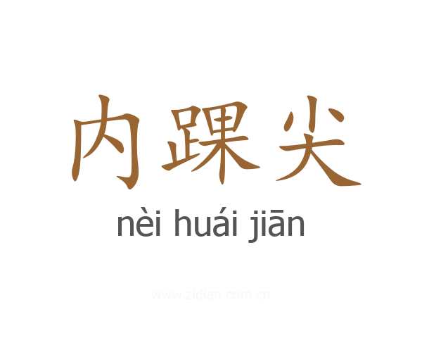 内踝尖
