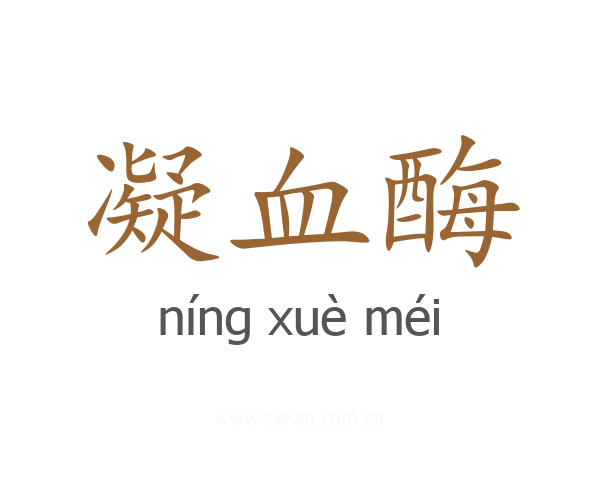 凝血酶