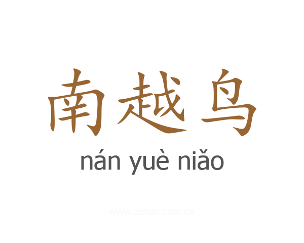 南越鸟