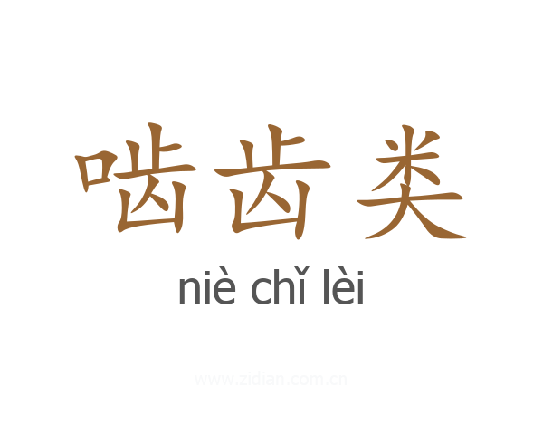 啮齿类