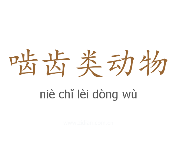 啮齿类动物