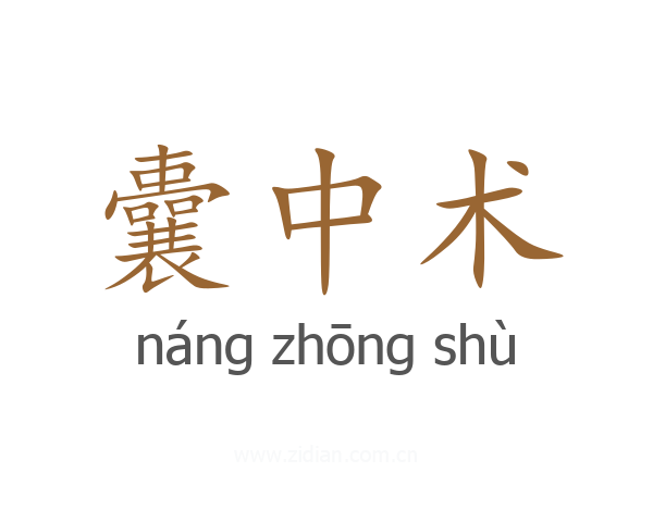 囊中术