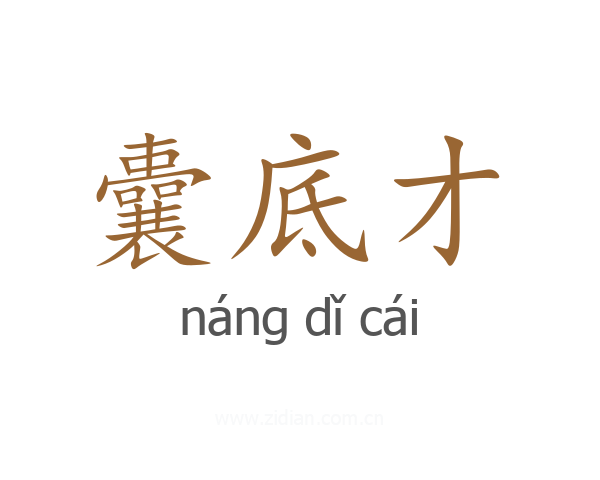 囊底才
